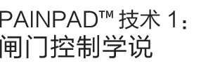 抗疼痛1：闸门控制原理