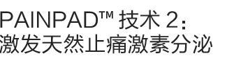 抗痛因子2：激发天然止痛激素『脑内啡 Endorphin』分泌