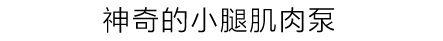 全新设计