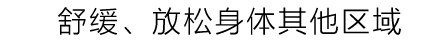 全新设计